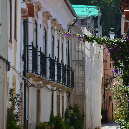 Quintinha Vale Dos Pinheiros Leiria