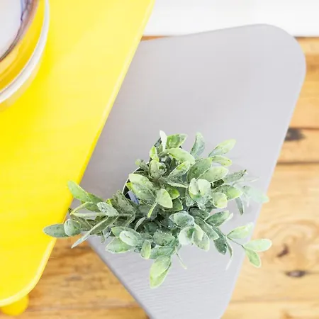 Nyaraló Quintinha Vale Dos Pinheiros