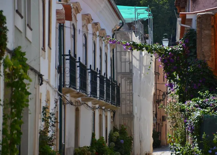 Quintinha Vale Dos Pinheiros Leiria
