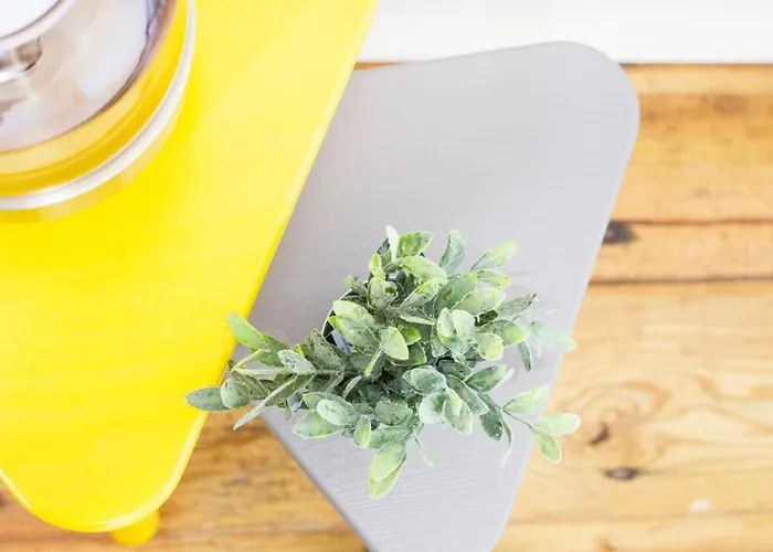 Dom wakacyjny Quintinha Vale Dos Pinheiros